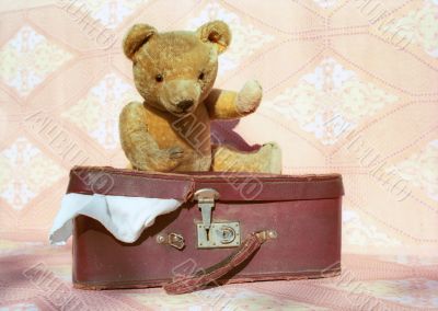 Teddy`s going far away