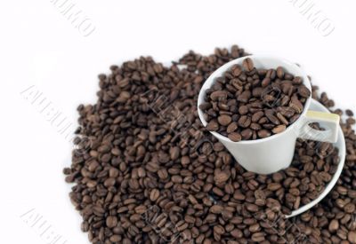 Coffee Cup