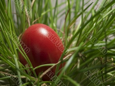 Red Egg