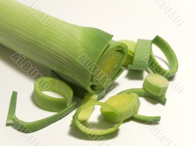 Wild Onion