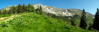 Veitsch
