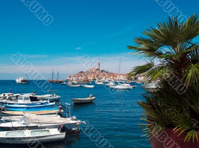 A View Of Rovinj