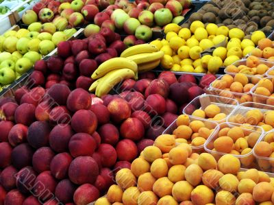 Fruit