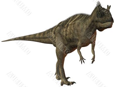 Ceratosaurus nasicornis-3D Dinosaur