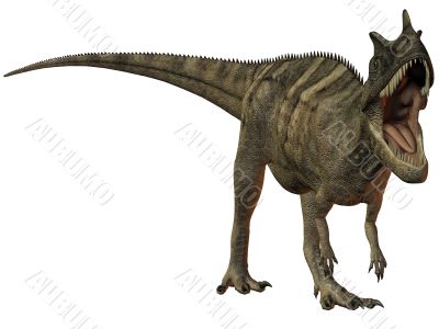 Ceratosaurus nasicornis-3D Dinosaur