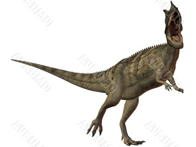 Ceratosaurus nasicornis-3D Dinosaur