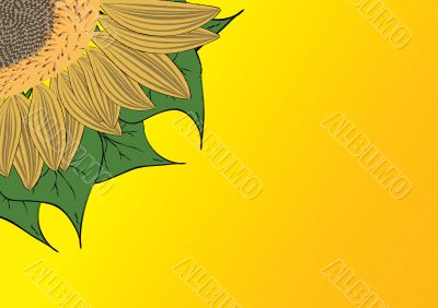 Decorative background