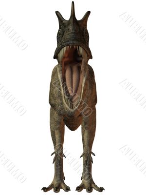 Ceratosaurus nasicornis-3D Dinosaur