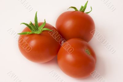 Tomatoes