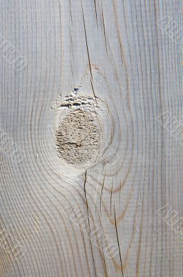 Wood texture