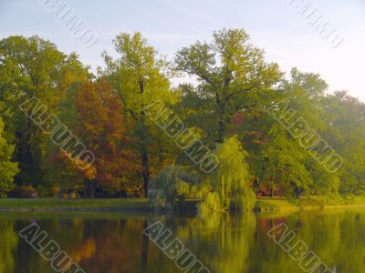 autumnal park