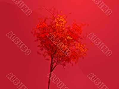 Autumn tree