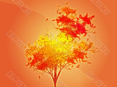 Autumn leafy tree