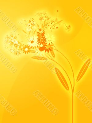 Flowers illustration