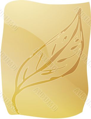Leaf illustration