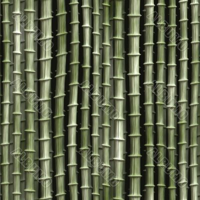 Bamboo plants