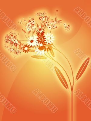 Flowers illustration