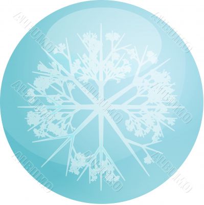 Snowflake globe