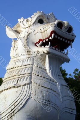 White lion
