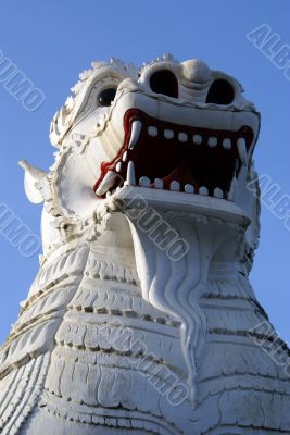 White lion