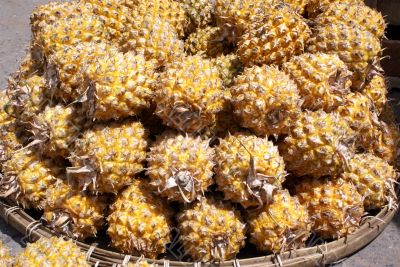 Pineapples