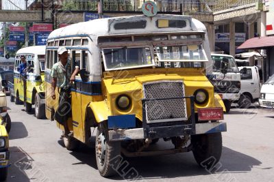 Buses