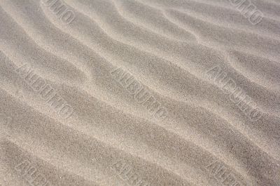 sand in the beach