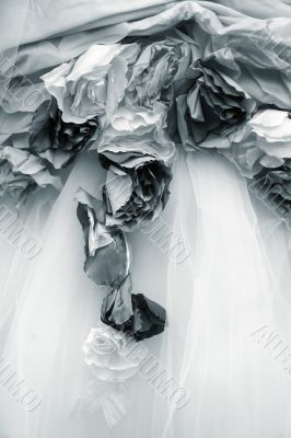 Dress of a bride