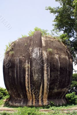 Big elephant