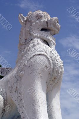 White lion