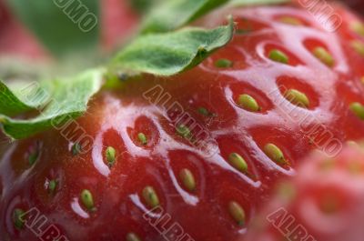 Close-up Strawberries
