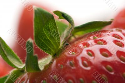 Close-up Strawberries