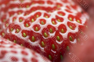 Macro of Strawberry