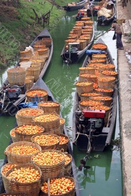Boats