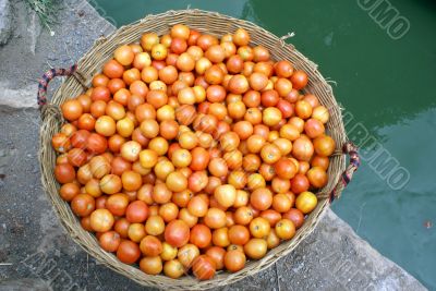 Basket with tomato
