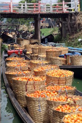 Boats and tomato