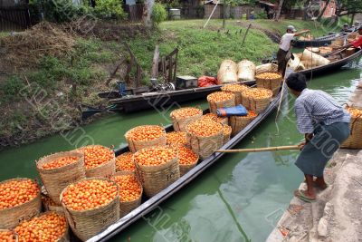 Boat with tomato