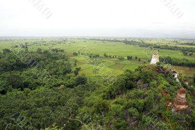 Stupa, forest andd field