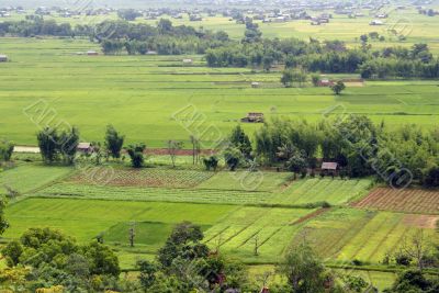 Green field with farm houses
