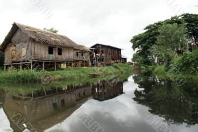 Houses and tree