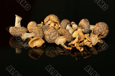 Dried mushrooms