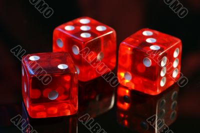 Dice to play, play dice