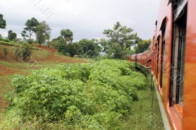 Train