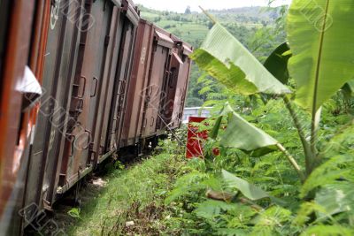 Train and banana