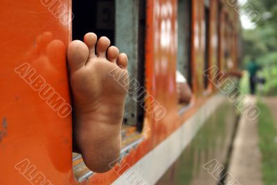 Foot