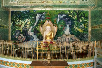 Buddha and green altar
