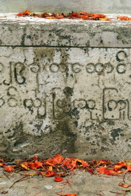 Red petals on the stone