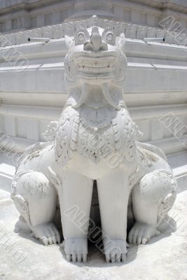 White lion