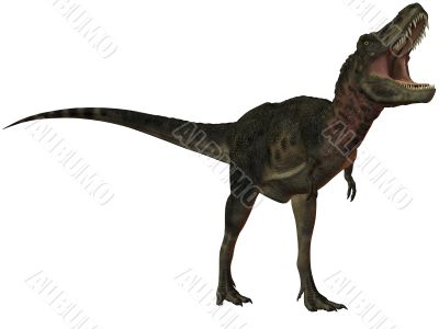 Tarbosaurus Bataar-3D Dinosaur