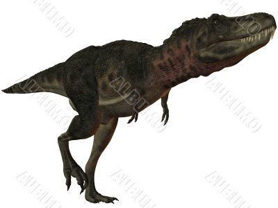 Tarbosaurus Bataar-3D Dinosaur